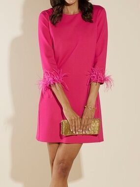 NWT Jude Connally Franca Dress Pink Sapphire Feathers Size Small